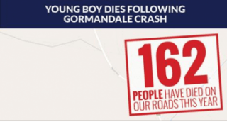 Young boy dies following Gormandale crash