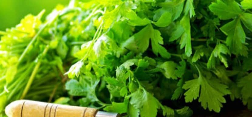 GREAT SUCCESS HAD THE GREEK FINANCIAL CRIME SERVICE AGAINST TAX EVASION!!! – THEY PUT A FINE OF 5,000 EUROS TO A 79 YEARS OLD WOMAN FOR SELLING PARSLEY AND CARROTS WITHOUT GIVING A RECEIPT!!!