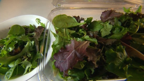 WOOLWORTHS AND COLES LETTUCE RECALLED AFTER SALMONELLA OUTBREAK!!!